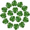 24 Pcs Artificial Tropical Leaves Hawaiian Luau Party Decor Medium Simulation Tropical Monstera Plant Leaves for Safari Jungle Beach Theme Birthday Party Decorations Supplies